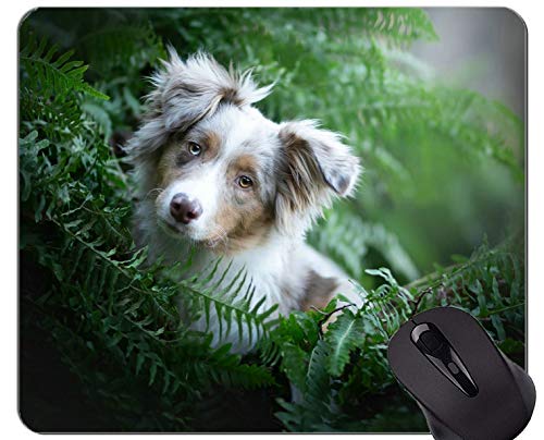 Preisvergleich Produktbild Mousemat Mauspads, Tiergenähte Kanten
