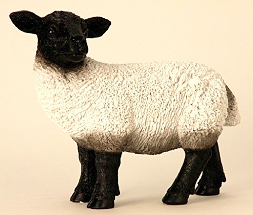 Große Figur Rhönschaf 38 x 31 cm Schaf stehend Figuren für Haus und Garten Dekoration Bauernhof Schafe