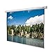 Price comparison product image celexon projector screen electric Economy 300 x 300 cm, 1:1