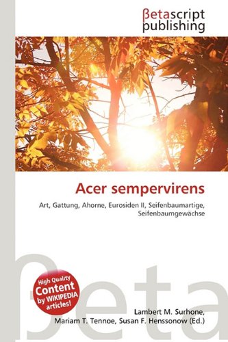 Preisvergleich Produktbild Acer sempervirens