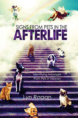 Signs From Pets In The Afterlife: Identifying Messages From Pets In Heaven Signs From Pets In The Afterlife: Identifying Messages From Pets In Heaven