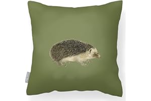 Izabela Peters Outdoor Cushions Waterproof, 43 cm, Filled Outdoor Cushion, Hedgehog - Sage, Garden Furniture Cushions, Outdoor Seat Cushions, Garden Chair Cushions