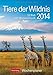 Tiere der Wildnis 2014: Harenberg Wochenplaner. 53 Blatt mit Zitaten und Wochenchronik by Harenberg