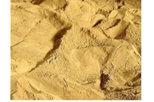 DOUBLEYOU GEOVLIES & BAUSTOFFE Poudre d’argile naturelle pour sable de terrarium Quantité 1 à 20 kg ou 30 kg de mélange (25 kg de sable + 5 kg d’argile)