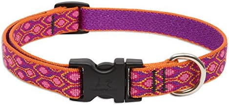 LupinePetOriginals 3/4" Alpen Glow 9-14" Adjustable Collar for Small Dogs