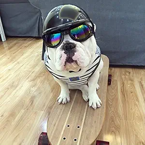 Pets Empire ABS Plastic Motorcycle Helmet Accessories for Dog (Colour May Vary, Small)