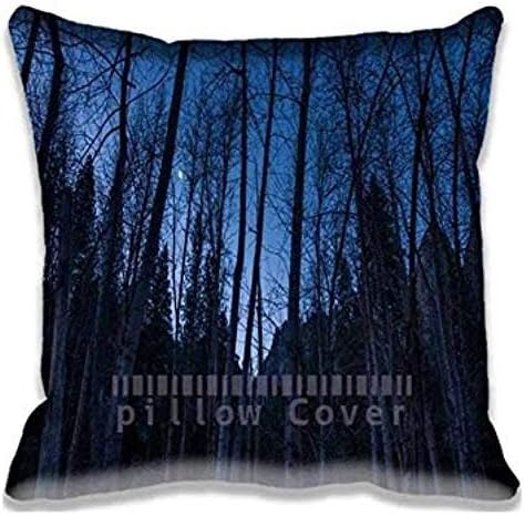A Crescent Moon Rises Above The Merced 20 x 20-Inch Decorative Home Cotton Square Throw Pillow Cover Cushion Case Handmade Pillowcase