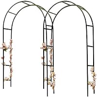 Amazon.es: Soportes para plantas: Jardín