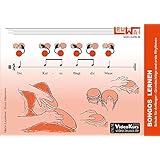 Bongo Lernen Leicht Gemacht Amazon De Hecht Pitti Bucher