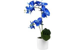 Olrla Orchidée Bleue Fleurs Artificielles en Pot Blanc, Faux Real Touch Orchidée Fleurs Décor pour Cuisine Salle de Bains Bureau Mariage (Bleu 2)
