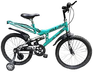 sea green bikes