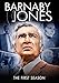 Barnaby Jones: Season 1 [Edizione: Stati Uniti] [Italia] [DVD]