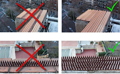 5 Meter Vogelschutz-Katzen Spikes für Zäune und Mauern (Braun) - 5