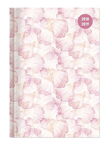 Collegetimer Pastel Dreams 2018/2019 - Schülerkalender A6 - Weekly - 224 Seiten