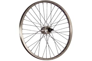 Taylor-Wheels 20 Pouces Roue arrière vélo pour Roue Libre à vis 406-19 Argent