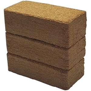 [Gesponsert]108 L Kokoseinstreu Bodengrund, Terrarienerde für Reptilien - einfach partitionierbare Kokoserde - XXL Humusziegel als Terrarium Einstreu Cocoground Kokosgrund Kokoshumus Kokosziegel Kokosfaser Briketts für Terrarien, Bodengrund für Tropenterrarien