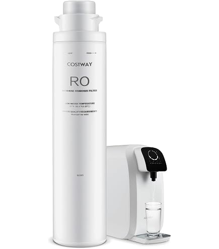BWT besttaste 10 filtro acqua 125501409 capacità 10000l h 280mm