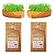 Produktbild 2 x Kresse Igel + 2 x Bio Kressesamen à 200 g