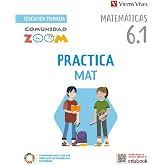 PracticaMat 6. Matem&aacute;ticas actividades (6.1 - 6.2 - 6.3) Comunidad Zoom