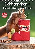 Eichhörnchen - kleine Tiere, große Liebe (Wandkalender 2018 DIN A4 hoch): Putzige und wilde Eichhörnchen, fotografiert im eigenen Garten (Geburtstagskalender, 14 Seiten ) (CALVENDO Tiere) by 