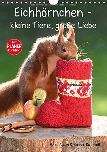 Eichhörnchen - kleine Tiere, große Liebe (Wandkalender 2018 DIN A4 hoch): Putzige und wilde Eichhörnchen, fotografiert im eigenen Garten (Geburtstagskalender, 14 Seiten ) (CALVENDO Tiere)
