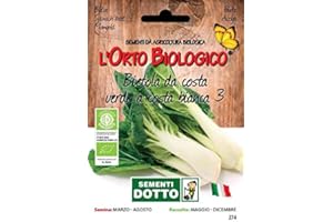 WOOTONG Sdd O.Bio_Bieta Verde Costa Bianca 3 Semi, 0.02x15.5x10.8 cm