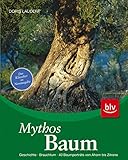 Image de Mythos Baum: Geschichte · Brauchtum · 40 Baumporträts von Ahorn bis Zitrone (BLV)