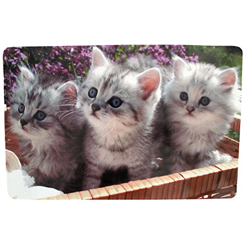 COM-FOUR® 4x Vinyl Platzsets mit verschiedenen Motiven 43,5×28,3cm (Tiere) - 2