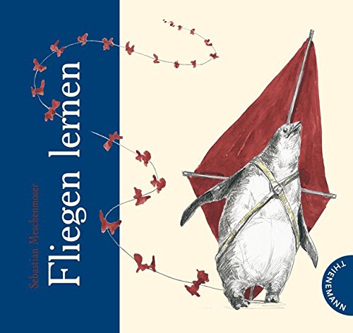 Download Fliegen lernen