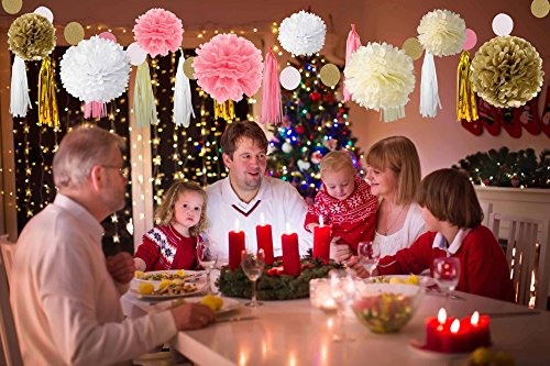 Paxcoo 30 Stück Rosa und Gold Tissue Papier Pom Poms Blumen Quaste Girlande für Geburtstag Hochzeit Party Dekorationen - 9