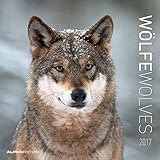 Wölfe 2017 - Wolves - Broschürenkalender (30 x 60 geöffnet) - Tierkalender - Wandplaner by 