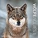 Wölfe 2017 - Wolves - Broschürenkalender (30 x 60 geöffnet) - Tierkalender - Wandplaner by 