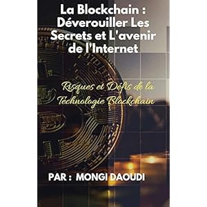 La Blockchain : Déverouiller Les Secrets et L'avenir de l'Internet : Risques et Defis de la Technologie Blockchain