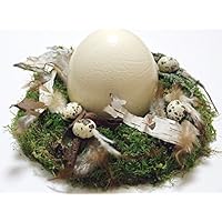 OSTERKRANZ MIT STRAUßENEI / Osterdeko/ Saisondeko/ Tischdeko/ Naturdeko/ Lifestyle-Deko/ Geburtstag/ Valentinstag/ Einzug/ Naturmaterialien Birke, Moos