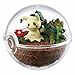 Produktbild Unbekannt Re-Ment Pokemon Pokeball Terrarium Collection Alola Region Figure~778 Mimikkyu Mimigma Mimikyu