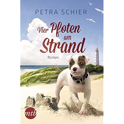 Vier Pfoten am Strand