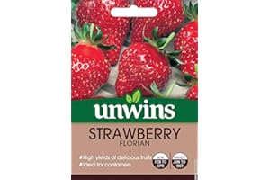 Unwins Strawberry Florian Seeds