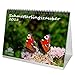 Produktbild Premium Tischkalender / Kalender 2018 · DIN A5 · Schmetterlingszauber · Schmetterling · Blüten · Farben · Edition Seelenzauber