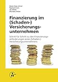 Image de Finanzierung im (Schaden-) Versicherungsunternehmen: Schritt für Schritt zu den Finanzierungsanford