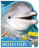 Meerestiere: Die große Welt der Abenteuer