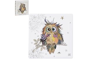 L & P HOME & GIFTS Lesser & Pavey Otto Owl Coaster | Lovely Gifts For Women & Men | Designed By Bug Art | Coasters Set For All Modern Kitchen & Offices