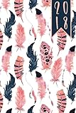 2018: Diary Planner Journal - WO2P Week on 2 Pages A5 Pink and Blue Watercolour Boho Feathers Cover (Watercolour Diaries, Band 1) by Just Plan Books