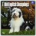 Old English Sheepdogs - Bobtails 2017 - 18-Monatskalender mit freier DogDays-App: Original BrownTrout-Kalender [Mehrsprachig] [Kalender] (Wall-Kalender) by 