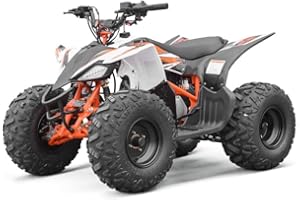 PARTS EUROPE Kayo New AT110 Sport Kinderquad ATV Quad für Kinder von 6-12 Jahren geeignet