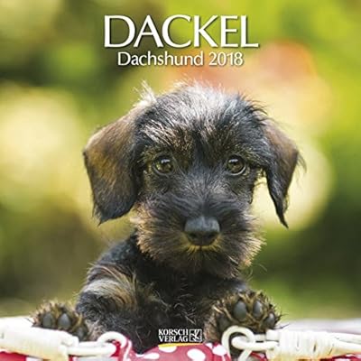Dackel 2018. Broschürenkalender: mit Ferienterminen Dackel 2018. Broschürenkalender: mit Ferienterminen