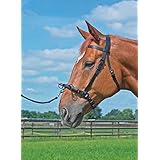 Busse Kappzaum SERETA, WB, schwarz, 323201.040.946