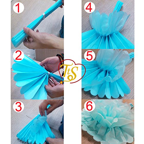 TtS 10er 30cm Seidenpapier Pompons Papier Blumen Ball Hochzeit Party Geburtstag Dekoration (Burgundy) - 3