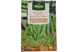 VILMORIN Semillas de Guisante Mata Baja TELEVISION, 150 gr
