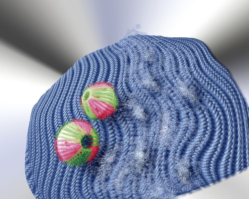 Wenko 7027100 Wäschebälle – 6er Set, für Wollpullover, Kunststoff – Polypropylen, Grün - 2