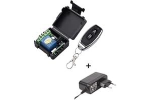 MOOVIKA Relais Temporisé 1 sec 433Mhz Homelink Tesla S 3 X Y (Alimentation Prise 230-12V)